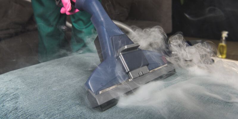 Pet Odor Removal in Orlando, Florida