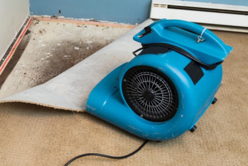 water damage cleanup Water Damage in Orlando, Florida