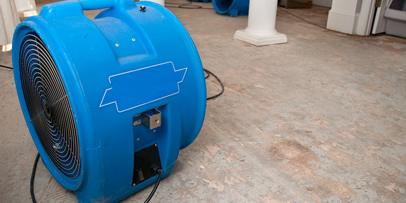 What to Expect from the Water Damage Cleanup Process
