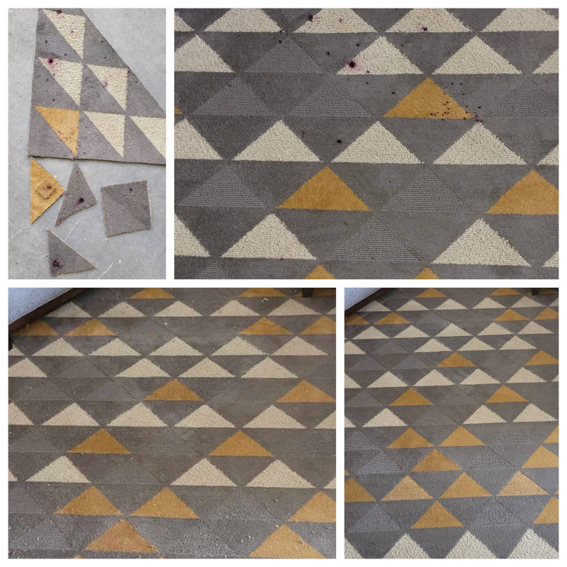 Carpet Cleaning in Orlando, Florida